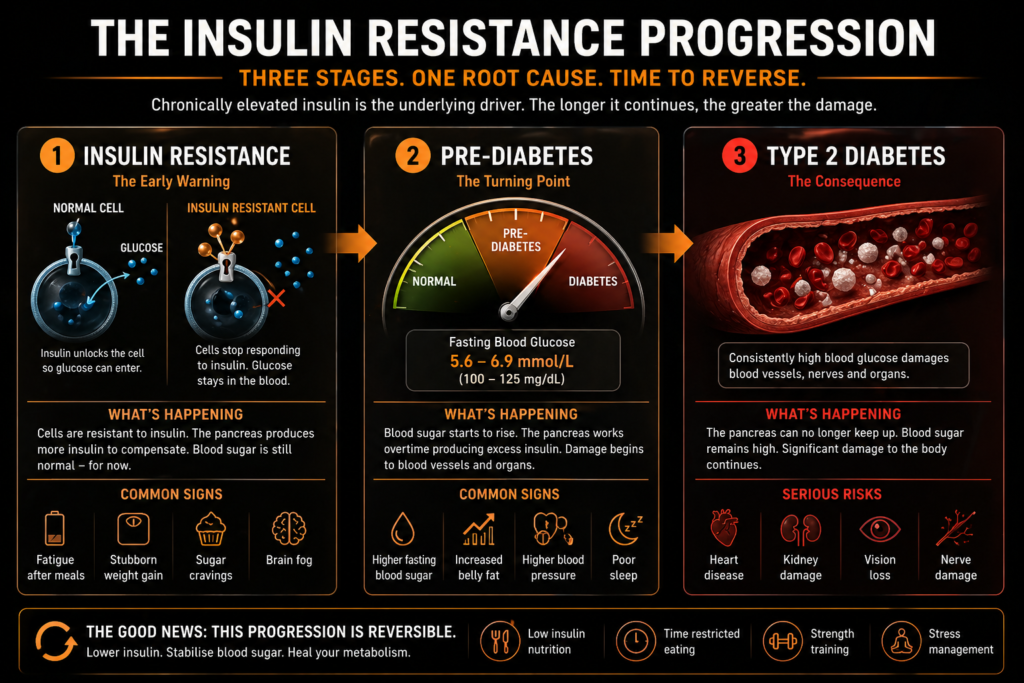 Insulin resistance progression stages - from insulin resistance to pre-diabetes to type 2 diabetes