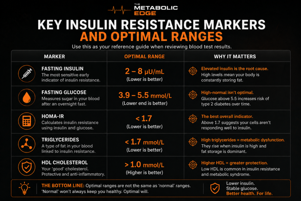 insulin resistance test results - fasting insulin HOMA-IR and triglyceride HDL ratio explained